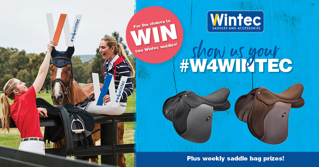W4Wintec