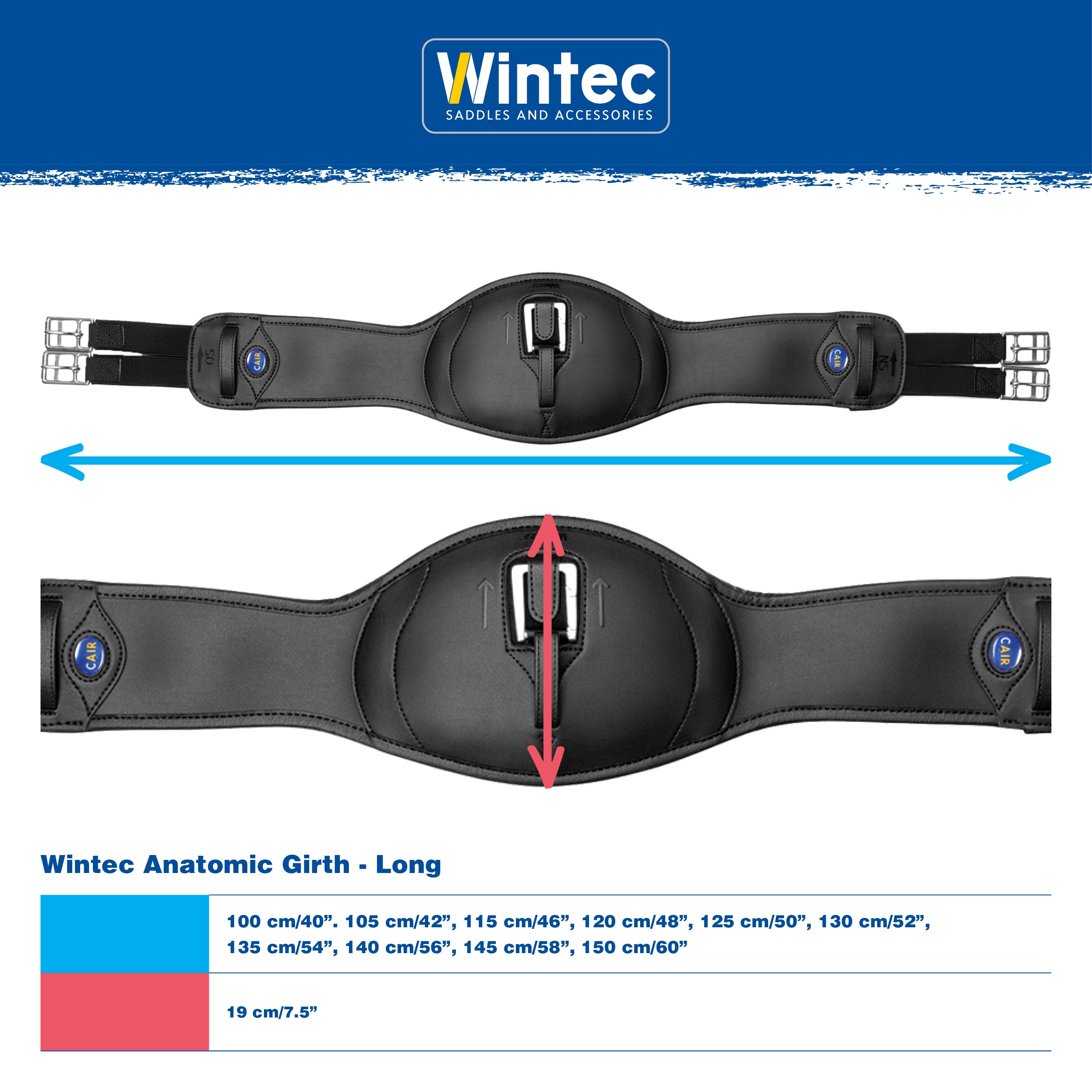 Wintec Anatomic Girth